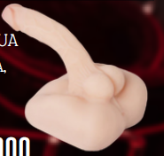 Torso Medio Mediano